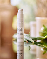 swederm Face Cream Anti-aging Gesichtscreme