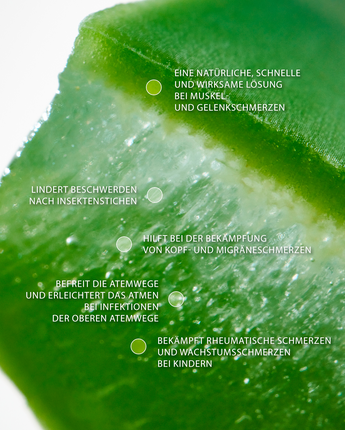 swederm Comfort Roll-on Linderung für Muskeln und Gelenke