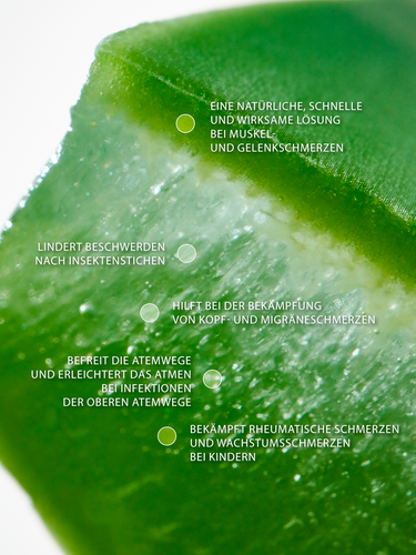 swederm Comfort Roll-on Linderung für Muskeln und Gelenke