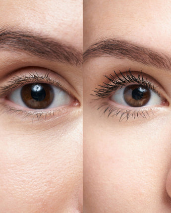 swederm Extasy Mascara + Brow Fixer